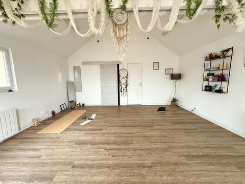 photo no. 10
