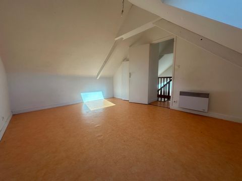photo no. 7