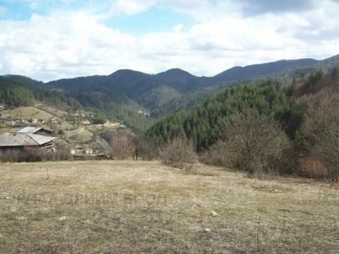 TEL.: ... ;0301 69999/WIR BIETEN EIN PANORAMAGRUNDSTÜCK IM SCHÖNEN RHODOPENDORF POLK ZUM VERKAUF AN. SERAFIMOVO. DAS GRUNDSTÜCK HAT DEN STATUS EINES GRUNDSTÜCKS, ABER GRENZVORSCHRIFTEN. EINE STATUSÄNDERUNG IST MÖGLICH. DAS GELÄNDE IST FAST FLACH, BEQ...