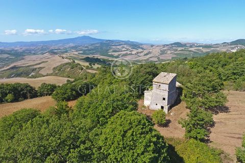 Farmhouse to be restored for sale in Tuscany, in the municipality of San Casciano dei Bagni – Podere Freccia The farmhouse spreads over an area of about 340 smq on three levels, with a panoramic small tower. It is located about 2 km away from the cen...