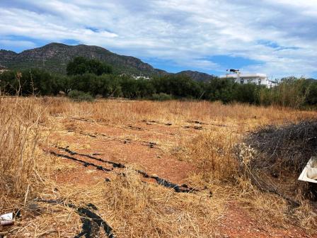 Makry Gialos: Appezzamento di terreno a Makry Gialos. La trama è di circa 600m2, situata a 200 metri dal mare. Può costruire fino a 240 m2. L'acqua e l'elettricità sono vicine e facili da collegare. La trama è vicino a negozi, ristoranti e a tutti i ...