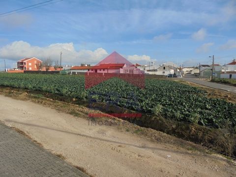 4.966 . Casais de Júlio - Peniche. . 970 .. 1740 .. . . * , . * : #ref:150150061