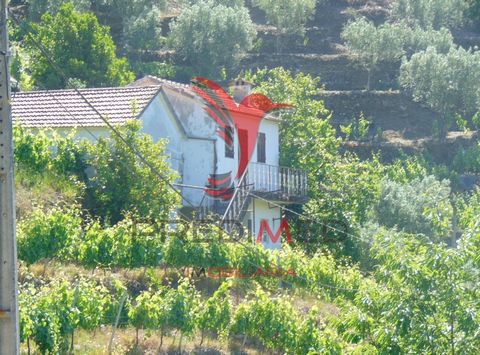 Onroerend goed bestaande uit Douro wijngaard, met een totale oppervlakte van 6.277m2 en een woonhuis, gelegen in Santa Marta de Penaguião, op 900 meter afstand van het prachtige rivierstrand van Fornelos en Louredo. Het bestaat uit 5 rustieke artikel...