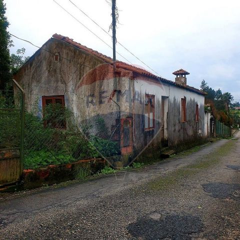 PROPERTY WITH A LOT OF POTENTIAL... 2 BEDROOM SINGLE STOREY HOUSE, INDEPENDENT WITH LAND, IN THE ASPARAGUS AREA, CLOSE TO THE CENTER OF SANTA MARIA DA FEIRA.   2 bedroom house for rehabilitation; With the possibility of expansion to convert into T3; ...