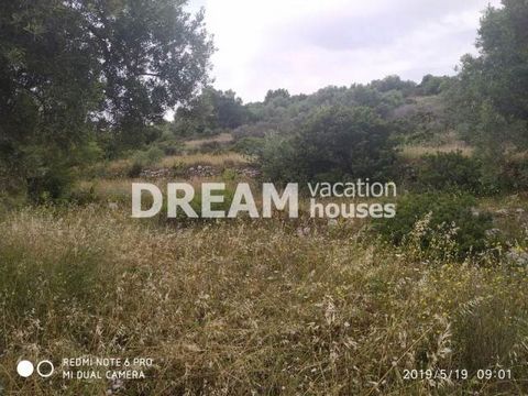 Description Agios Nikolaos, Agricultural Land For Sale, 10.000 sq.m., Features: Amphitheatrical, Price: 830.000€. Πασχαλίδης Γιώργος Additional Information Piece of land near the port of Agios Nikolaos of Volimes, 300 meters from the sea shore. It ha...