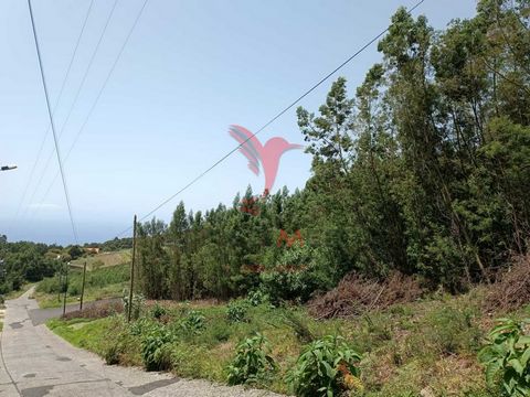 Grundstück zum Verkauf in Santa Cruz, Insel Madeira! Urbanisierbares Grundstück mit einer Fläche von 3.527 m2, ideal für eigenen Wohnraum oder Investitionen. Möglichkeit der Zuteilung in 3 oder mehr Grundstücke, was eine ausgezeichnete Geschäftsmögli...