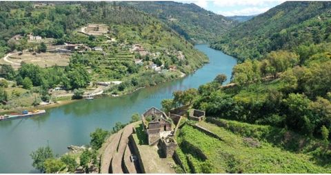 Ferme sur les rives du fleuve Douro, avec PIP approuvé pour une unité hôtelière. Situé dans la région délimitée du Douro, dans la région de Cinfães, avec environ 10 hectares, à environ 60 km de la ville de Porto. Avec une plage fluviale, avec un fron...