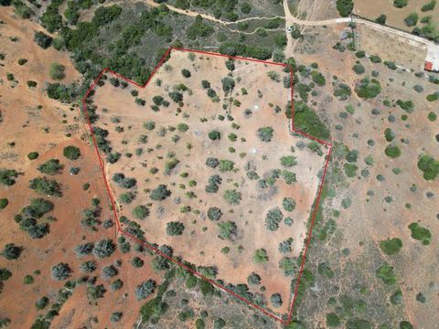 Terrain rustique de 15040 m2 (1,5 Ha), situé à Baiãs, entre Guia et Algoz. L'accès se fait par un chemin de terre, mais à proximité d'une route goudronnée. Le terrain est propre et a des caroubiers, des figuiers, des amandiers et des oliviers. Pour p...