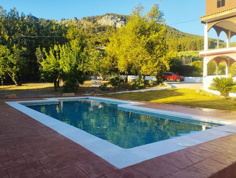 If you are searching for living near the nature meanwhile you are working, this is your place. The villa is close by car to amazing cities to discover, you will find like at home enjoiying great places in Andalusia. The house has three double bedroom...