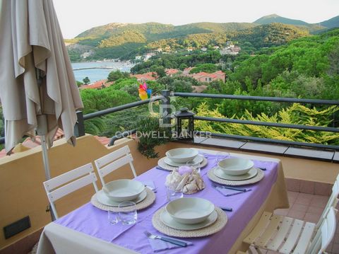CAVO - We offer for sale a penthouse in a 1960s villa with a panoramic terrace with 180° sea view over the Cavo bay and islets. The apartment is located on the promontory, 300 meters walk from the town and 20 meters from the Frugoso beach. It consist...