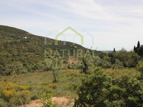 Discover the Charm of the Algarve Countryside on this 9654m2 plot, with Easy Access and Privacy. This rustic treasure offers a 9654m2 plot of land of pure serenity, providing a stunning 360º view that embraces the countryside, the majestic mountains ...