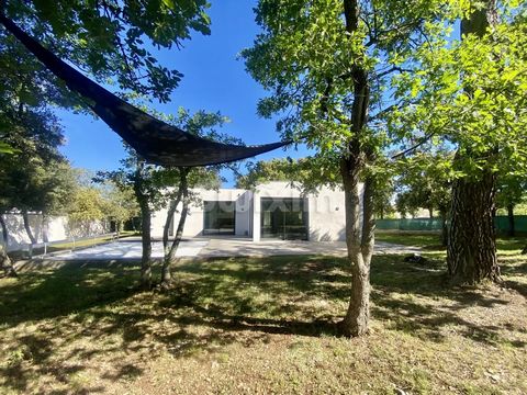 Ref 4009TP: VIDAUBAN, Quiet and not overlooked, recent contemporary villa from 2020 on a pretty flat and fully enclosed plot of 1230m2 with 6x6m salt pool. Its large openings to the outside provide you with beautiful light. in the whole house. A larg...