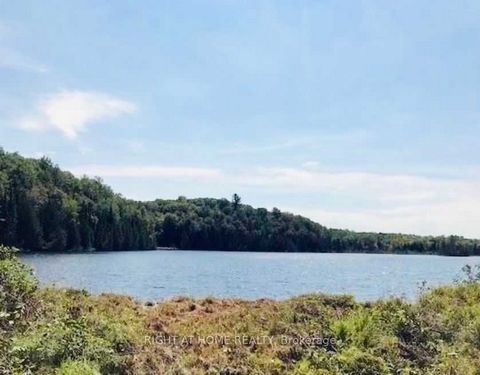 Amazing opportunity to own a rare 4 acre lot with 187 ft shoreline of direct waterfront on Haliburton's hidden gem, Cedar Lake. The new, gravelled and picturesque 450ft four season road brings you to this quiet & calm lake that is shallow, sandy, per...