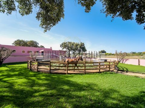 Welcome to a horse lover's paradise in Palmela! I present you with a truly exceptional property, perfectly suited to breed and train horses in a professional manner. With an expanse of 25 hectares, this spacious setting offers a wide range of facilit...