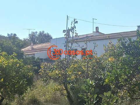 Farm for sale in Tavira, with 3 bedroom villa, several annexes including another flat, rustic land with an area of 0.5 hectares and another of 3,002 hectares with independent entrances and 2 water fountains The farm is located about 8km from Tavira w...