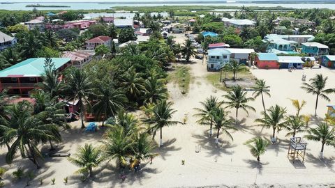 2,300,000 USD – ONLY ROAD TO BEACH IN PLACENCIA VILLAGE – UNIQUE DEVELOPMENT OPPORTUNITY   1.3-acres in the heart of the booming tourist town of Placencia.   The last remaining piece of sizable land in the heart of town.  Location ,Location ,Location...