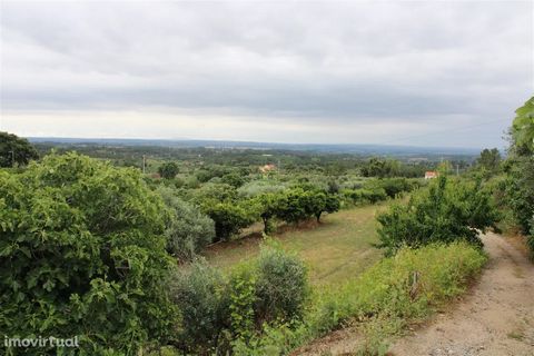 Farm with 13243 m2 in the parish of Vale de Prazeres and Mata da Rainha, Fundão. Property with a land of 13243m2, a rural construction and immense plantation of fruit trees, such as: Pears, cherry trees, peach trees, fig trees, vineyards among others...