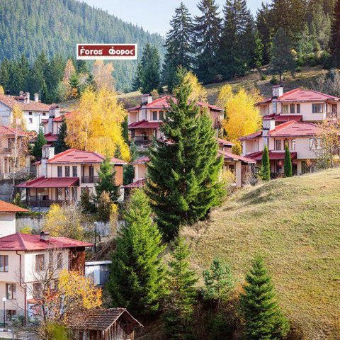 Продаем дачный поселок площадью 5,4 сотки в юго-западной части города. Он выделен как самостоятельный жилой район, с отдельными улицами, парковочными местами, зонами отдыха и т.д. Он состоит из 20 отдельно стоящих домов, к каждому из которых примыкае...