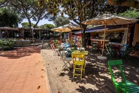 Complejo turístico para familias directamente en la hermosa playa de arena privada en el municipio de San Vincenzo. Inmersos en un parque natural bien cuidado con 3 grandes piscinas, los bungalows y la residencia se distribuyen en una gran área bajo ...