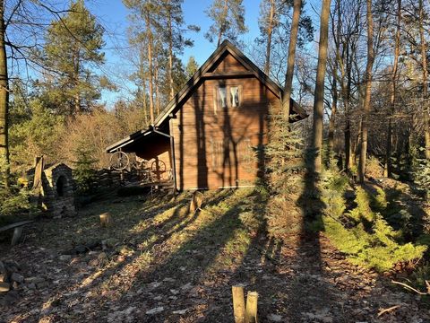 An extraordinary wooden house with an area of 75 m2 on a wooded plot with an area of 960 m2 at Podłącze Street in the town of Ciepielów, Leipzig district. House: - usable area 75 sq. m. Dimensions: -9 m x 8 m Available media: -current -strength -wate...