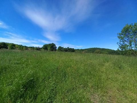 In de buurt van Villecomtal sur Arros en Rabastens de Bigorre, op het platteland, kom en ontdek dit aangename perceel van 1430 m2. Ideaal voor het opzetten van uw mooie eengezinswoningproject. Verbinding van netwerken in de buurt. Zorg voor autonome ...