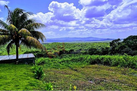 This incredible building lot offers unparalleled and exclusive views of Mombacho that is guaranteed to remain unobstructed, giving you the chance to witness breathtaking sunrises and sunsets every day. The lot's layout has been designed to optimize y...