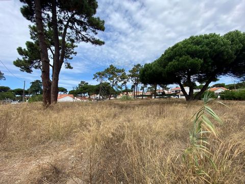 Land 5760 m2 Mucifal Colares, beaches, project 10 villas The small village of Mucifal is situated on the right bank of the Rio das Maçãs (Ribeira de Colares), in the Natural Park of Sintra - Cascais. It is still a very rural area, at the gates of the...