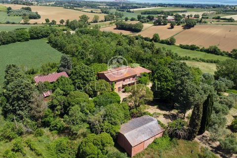 Podere Badia nel Comune di Castiglione del lago, in un contesto paesaggistico prettamente agricolo, molto silenzioso e con una bella vista panoramica sul Lago Trasimeno si estende questa proprietà alla quale si accede mediante strada privata, compost...