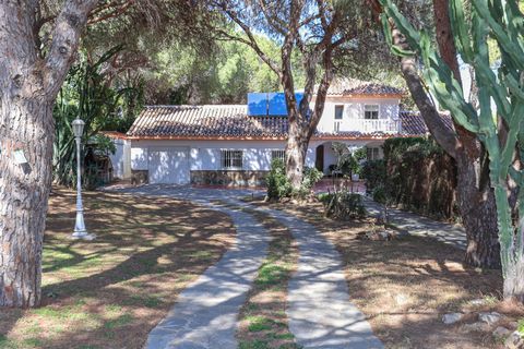Large Detached Villa in Alhaurín de la Torre 2400m2 plot Urban Villa with a GARDEN Private pool Possible separate accommodation Garage Walking distance to town This impressive property in Alhaurin de la Torre has been a beloved family home for many y...