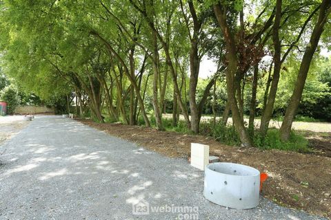 photo no. 1
