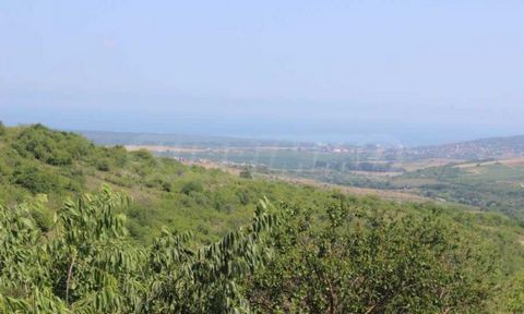 SUPRIMMO Agency: ... We present for sale a regulated plot of land with an area of 1250 sq.m, in the upper part of the village of General Kantardzhievo, 4 km from the resort of Albena. From the plot there is a magnificent panoramic view of the sea. Th...