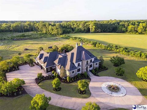 Situated on twenty-two gated acres with a picturesque stream snaking through the back of the pastoral property, this sprawling estate is a one-of-a-kind rural escape, complete with a gorgeous quarter-mile, oak-lined driveway. And although the peacefu...