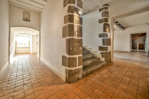 photo no. 6