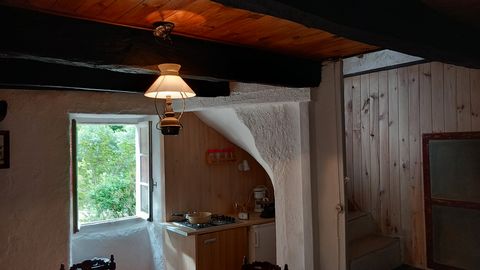 photo no. 2