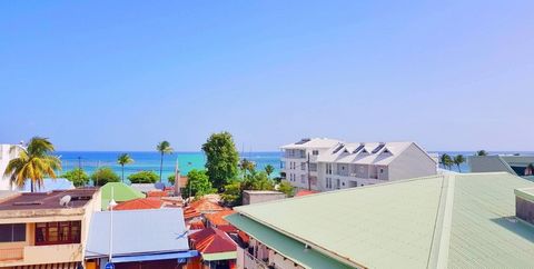 Viager Libre Appartement 2 pièces de 79m2 proche plage