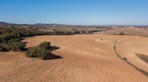 A Herdade do Raco-de-Baixo situa-se no perímetro urbano da Aldeia das Catifarras, 2km a sul do Cercal do Alentejo, a 15km de Vila Nova de Milfontes e a 23km de Porto Covo. No limite sul do Concelho de Santiago do Cacém, perto de São Luís e no limite ...