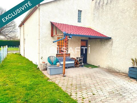 photo no. 11