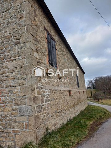 photo no. 16