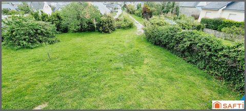 photo no. 11