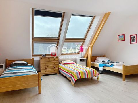 photo no. 8