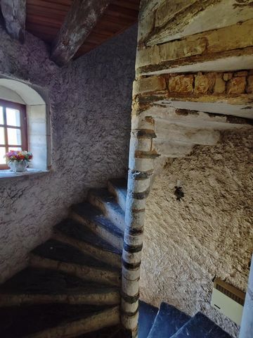 photo no. 7