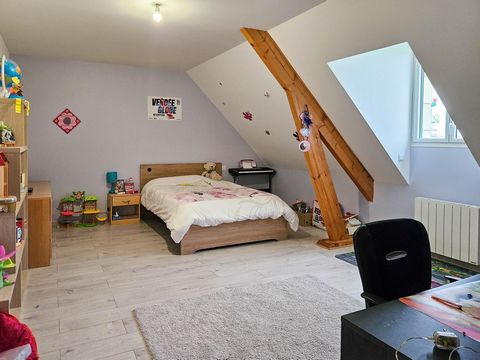 photo no. 10