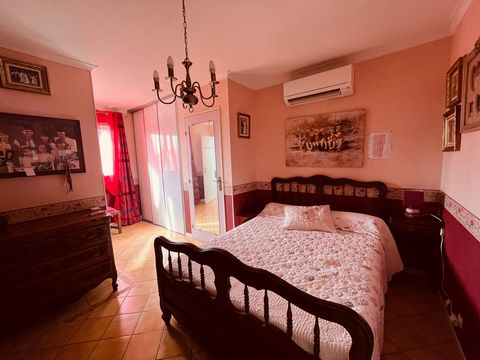 photo no. 13