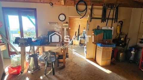 photo no. 16