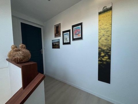 photo no. 10