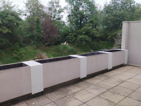photo no. 11