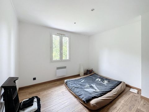 photo no. 19