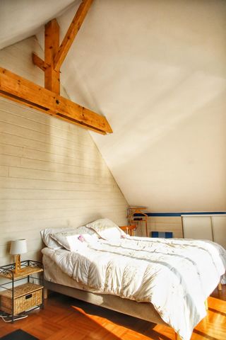 photo no. 6