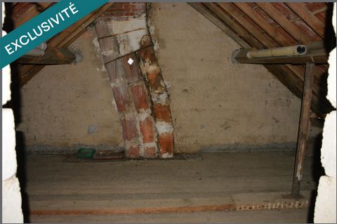 photo no. 8