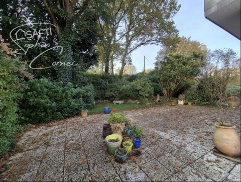 photo no. 13